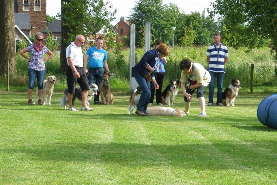 Jaarlijkse BBQ Hondenschool De Trouwe Vriend