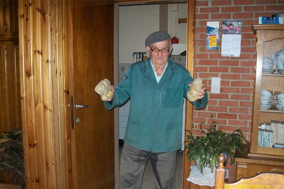 Jozef Luts (87) oogst pistoolpatat van maar liefst 1 kilo