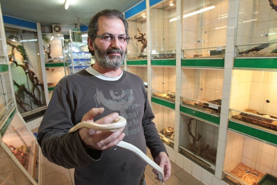 Stad en provincie oneens over vergunning dierenspeciaalzaak