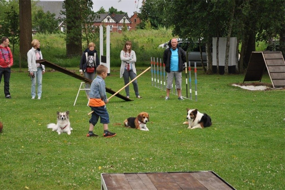 Barbecue hondenschool De Trouwe Vriend