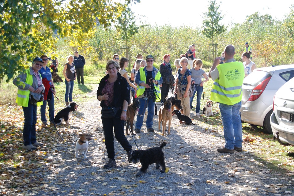 De Trouwe Vriend wandelt naar Herkenrode