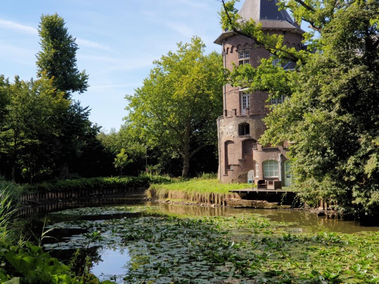 ‘Omleiding voor vissen’ moet droge Prinsenhofvijver redden 