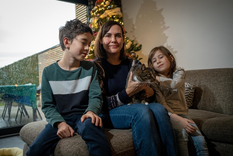 Vermiste Hasseltse kat duikt op in Genk