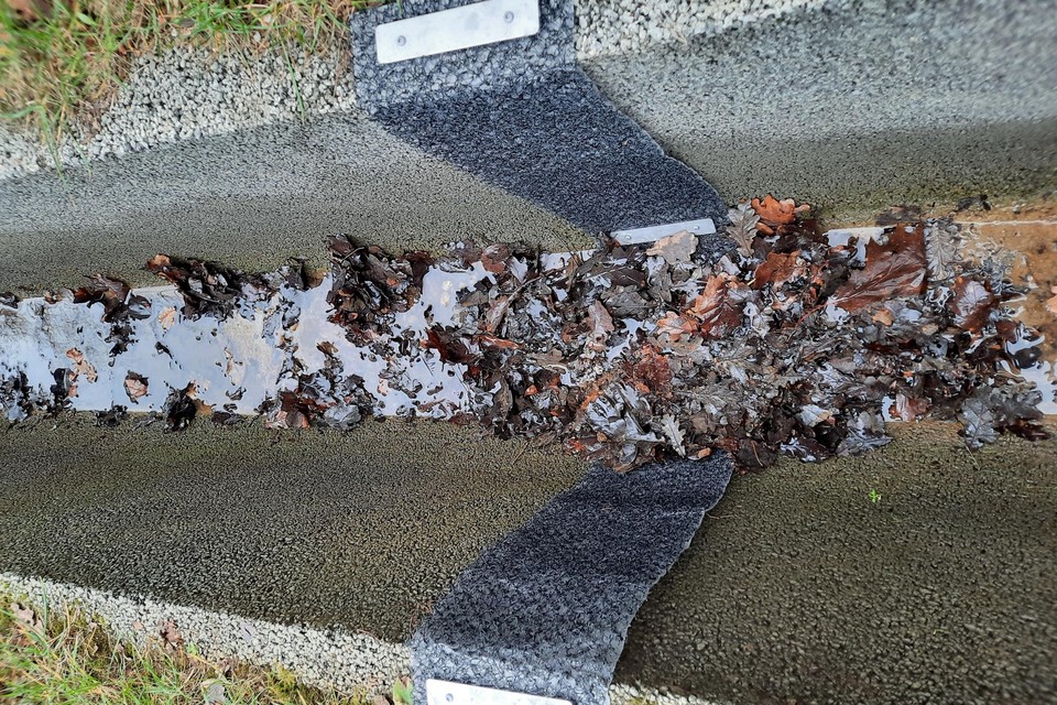 Natuurpunt Hasselt-Zonhoven helpt amfibieën