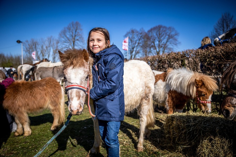 Paardenmarkt laat Kuringen meteen weer bruisen