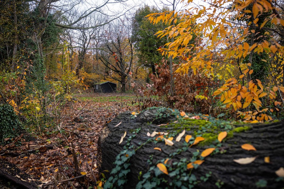 Nieuw woonproject tussen Kuringersteenweg en Grote Baan in Hasselt met openbaar park en boomgaard
