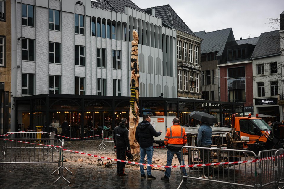 Francis tovert Hasseltse kerstboom om tot kunstwerk met dieren: “Totem voor natuurdomein in Kuringen”