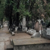 Genealogie